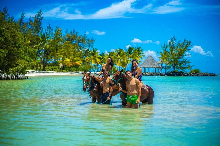  Swimming with Horses at the Beach from Punta Cana Free transportation - Photo 1 of 11